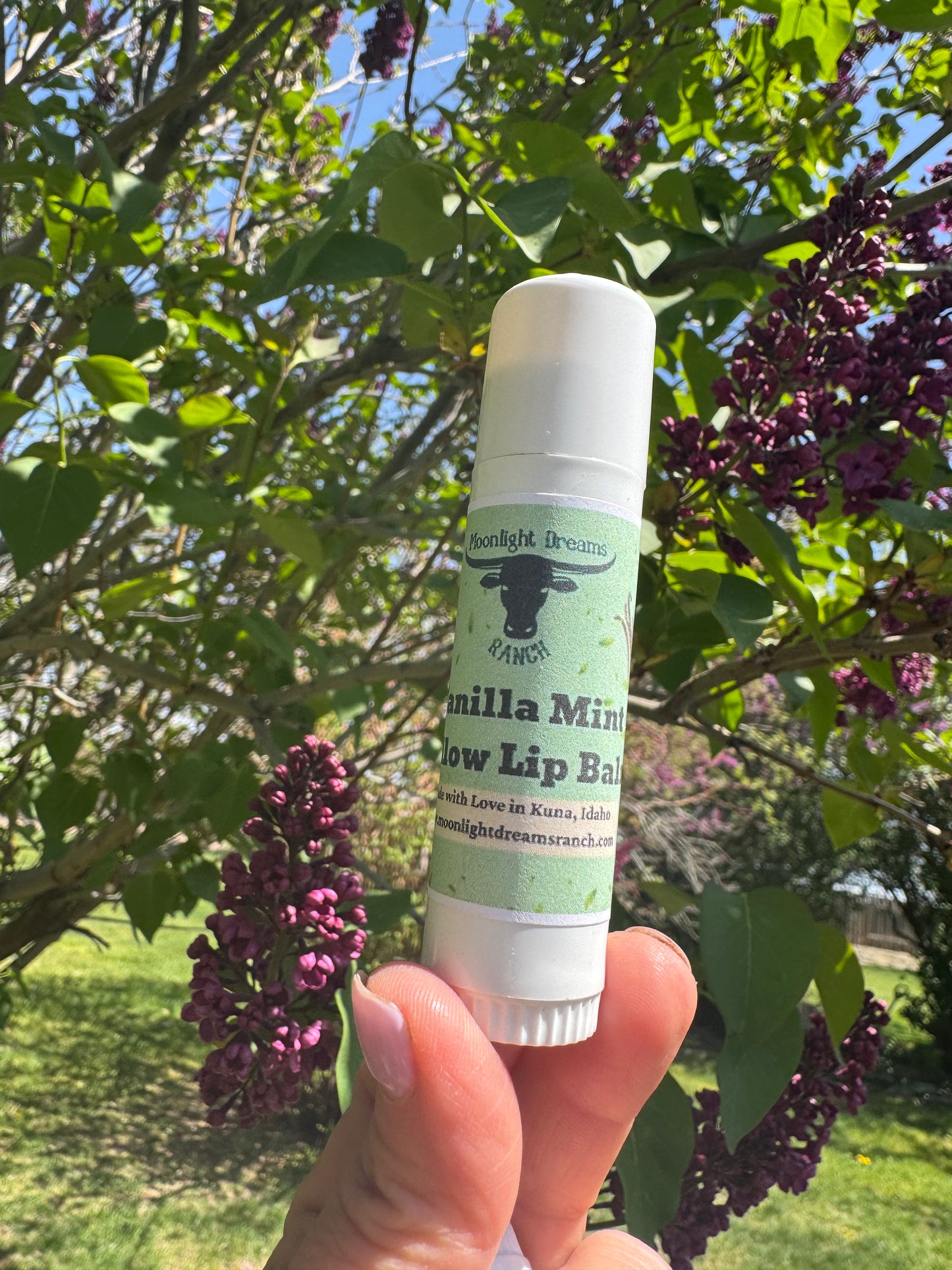 Giant Vanilla Mint Tallow Lip Balm