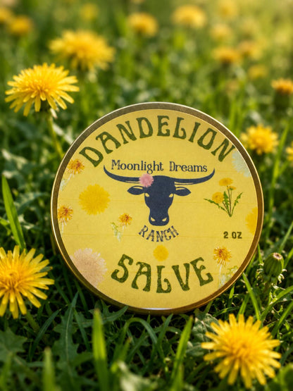 Dandelion Salve w/ Beef Tallow